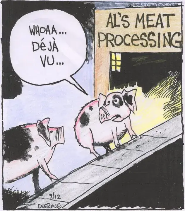 Strange Brew for Sep 12, 2024