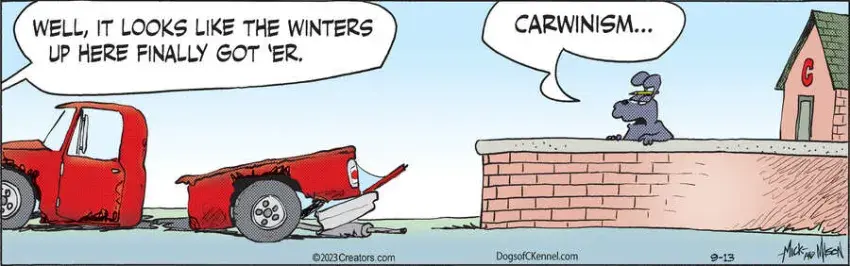 Dogs of C-Kennel for Sep 13, 2023