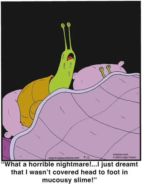 Rubes® for Sep 13, 2023