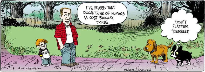 Zack Hill for Sep 14, 2022