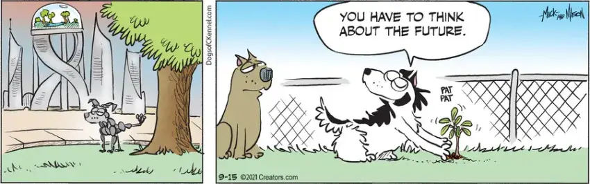 Dogs of C-Kennel for Sep 15, 2021