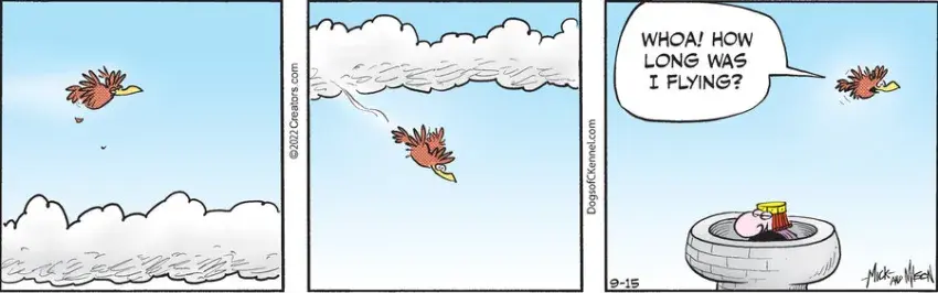 Dogs of C-Kennel for Sep 15, 2022