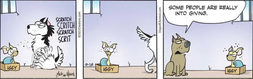 Dogs of C-Kennel for Sep 16, 2022