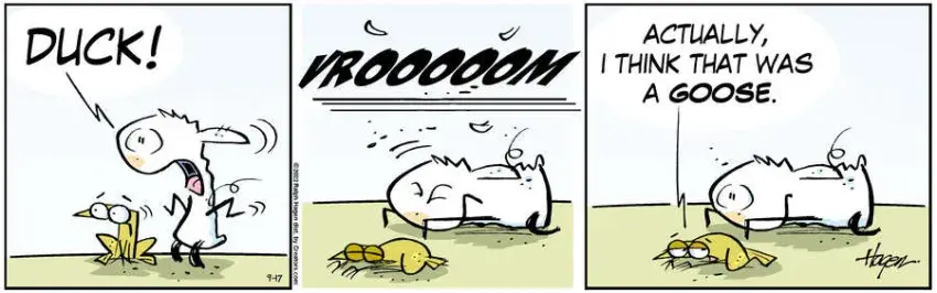 The Barn for Sep 17, 2022