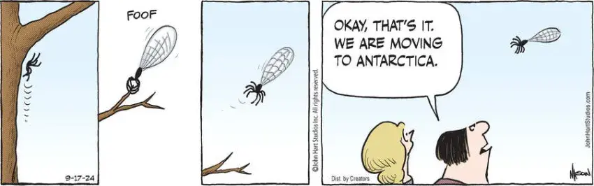 B.C. for Sep 17, 2024