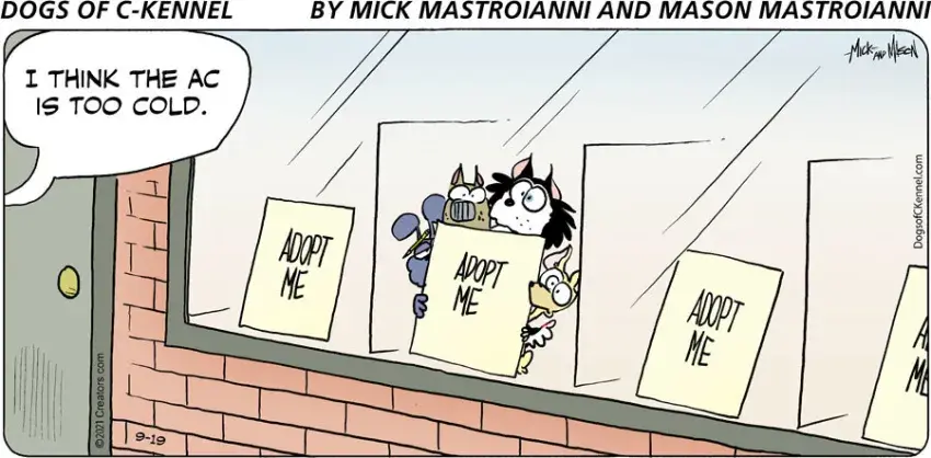 Dogs of C-Kennel for Sep 19, 2021