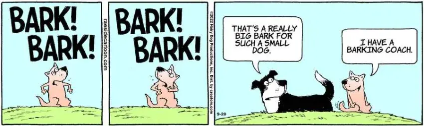 The Other Coast for Sep 20, 2022