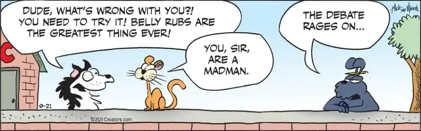 Dogs of C-Kennel for Sep 21, 2021