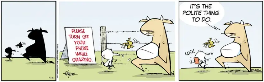 The Barn for Sep 21, 2022