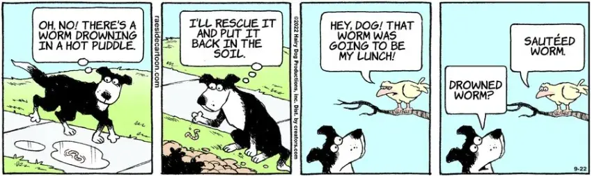 The Other Coast for Sep 22, 2022