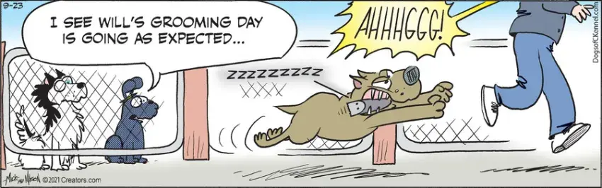 Dogs of C-Kennel for Sep 23, 2021