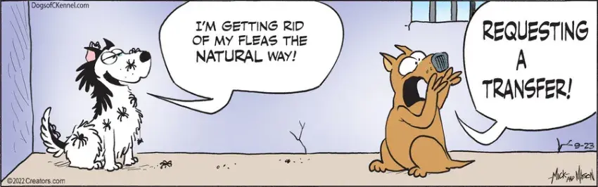 Dogs of C-Kennel for Sep 23, 2022