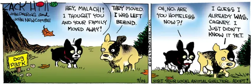 Zack Hill for Sep 24, 2023