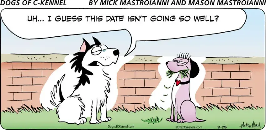 Dogs of C-Kennel for Sep 25, 2022