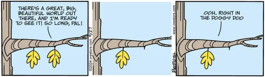 Diamond Lil for Sep 27, 2024