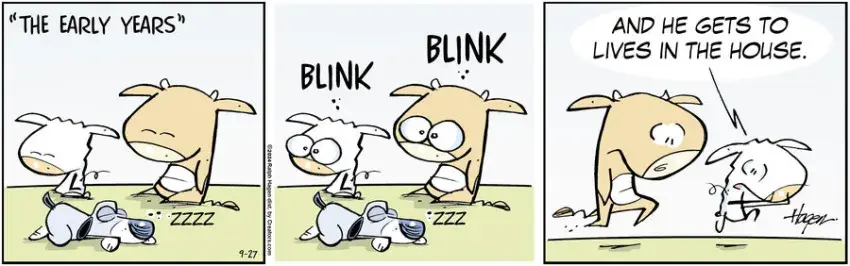 The Barn for Sep 27, 2024