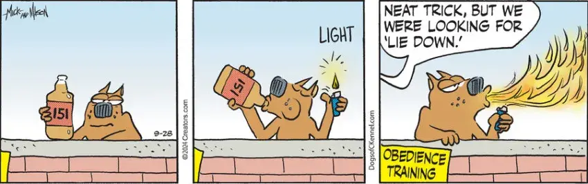 Dogs of C-Kennel for Sep 28, 2024
