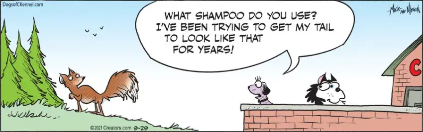 Dogs of C-Kennel for Sep 29, 2021