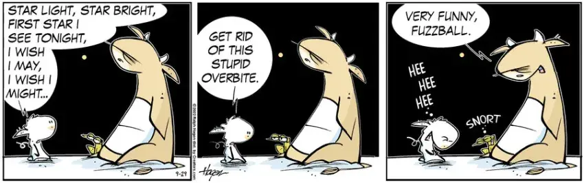 The Barn for Sep 29, 2022