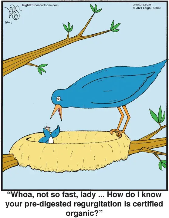 Rubes® for Oct 01, 2021