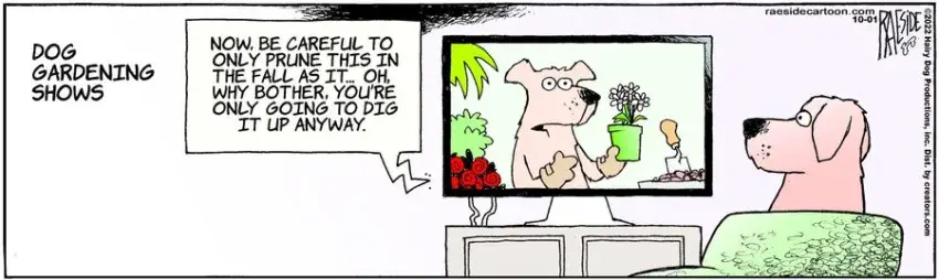 The Other Coast for Oct 01, 2022