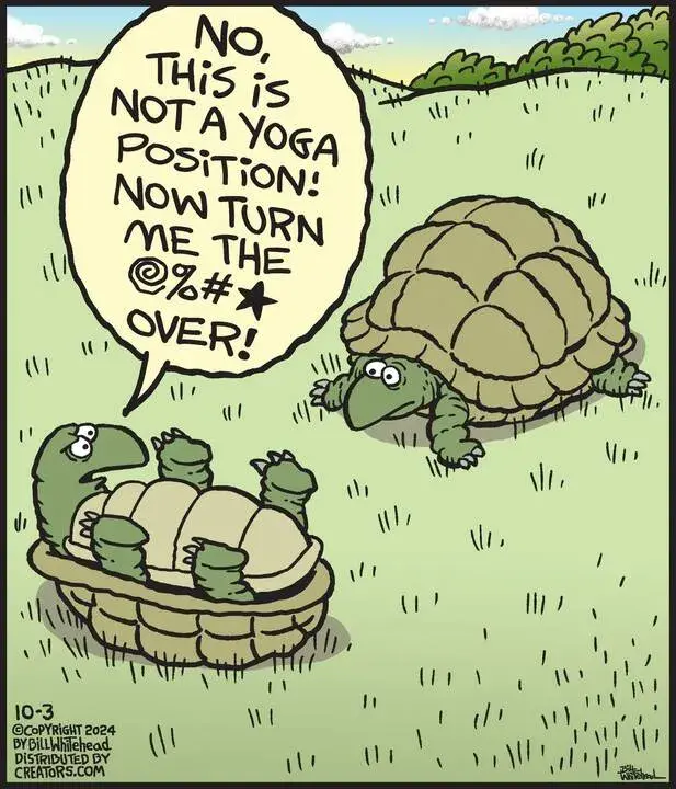 Free Range for Oct 03, 2024