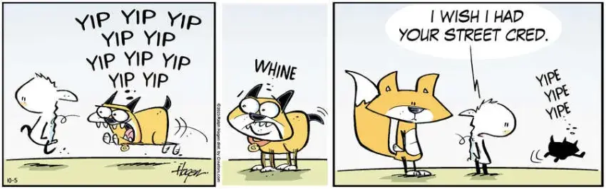 The Barn for Oct 05, 2023