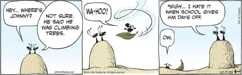 B.C. for Oct 07, 2022