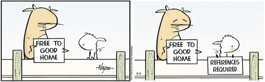 The Barn for Oct 08, 2024