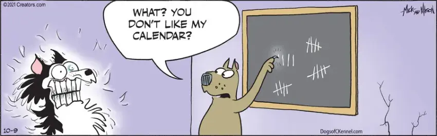 Dogs of C-Kennel for Oct 09, 2021