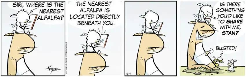 The Barn for Oct 09, 2023