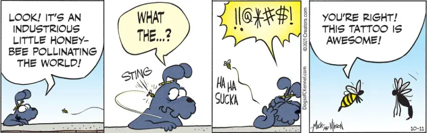 Dogs of C-Kennel for Oct 11, 2021