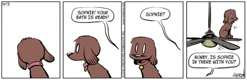 Dog Eat Doug for Oct 13, 2021