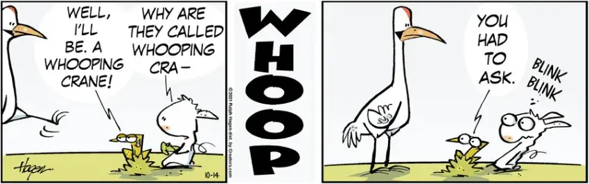 The Barn for Oct 14, 2021