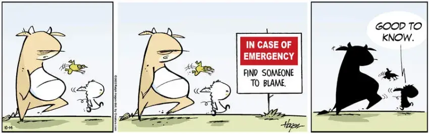 The Barn for Oct 14, 2022