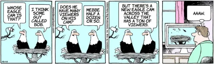 The Other Coast for Oct 14, 2022