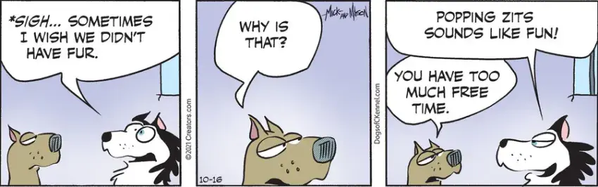 Dogs of C-Kennel for Oct 16, 2021