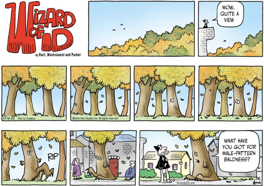 Wizard of Id for Oct 16, 2022