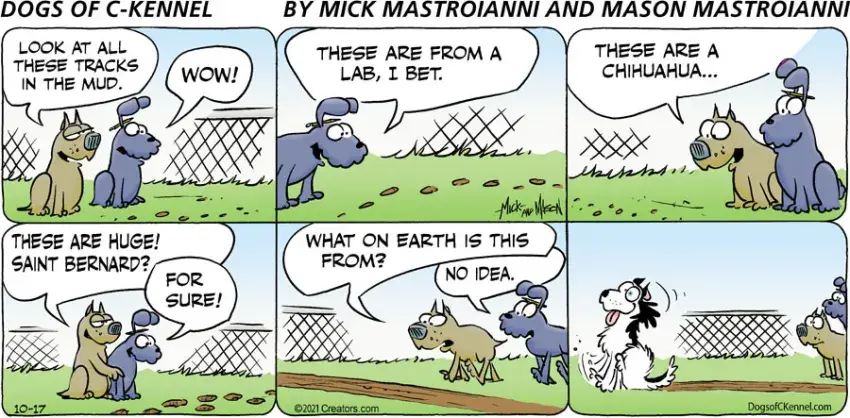 Dogs of C-Kennel for Oct 17, 2021