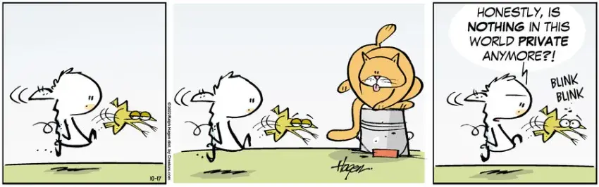 The Barn for Oct 17, 2022