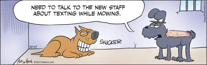 Dogs of C-Kennel for Oct 17, 2022