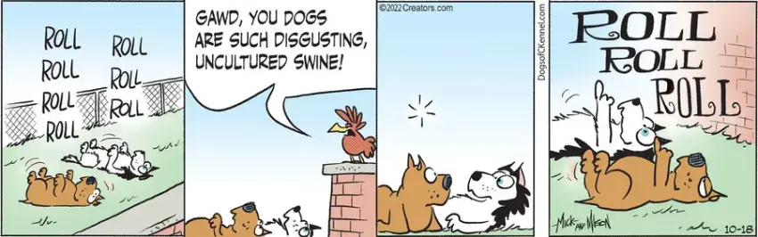 Dogs of C-Kennel for Oct 18, 2022
