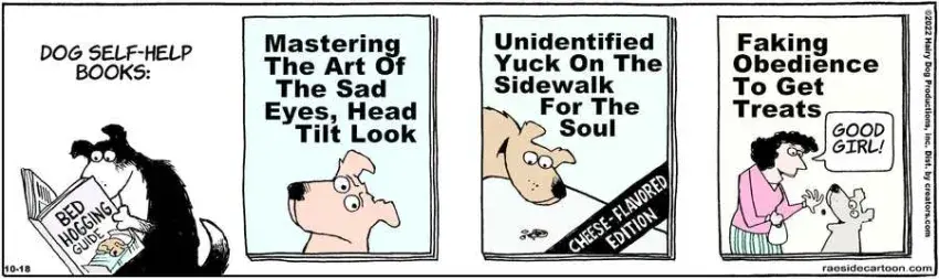 The Other Coast for Oct 18, 2022