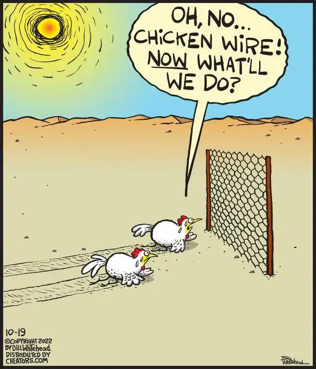 Free Range for Oct 19, 2022