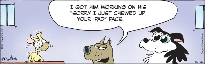 Dogs of C-Kennel for Oct 20, 2021