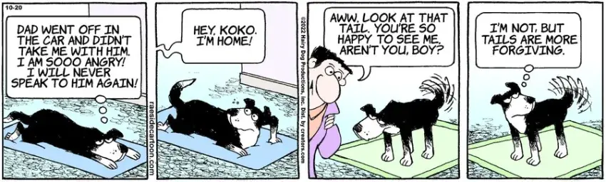 The Other Coast for Oct 20, 2022