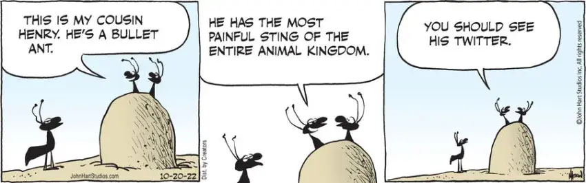 B.C. for Oct 20, 2022