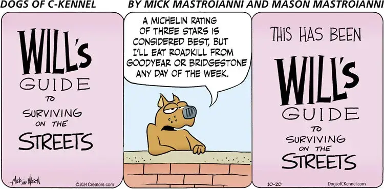 Dogs of C-Kennel for Oct 20, 2024