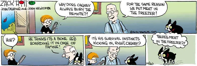 Zack Hill for Oct 20, 2024