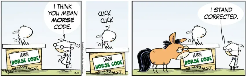 The Barn for Oct 21, 2022